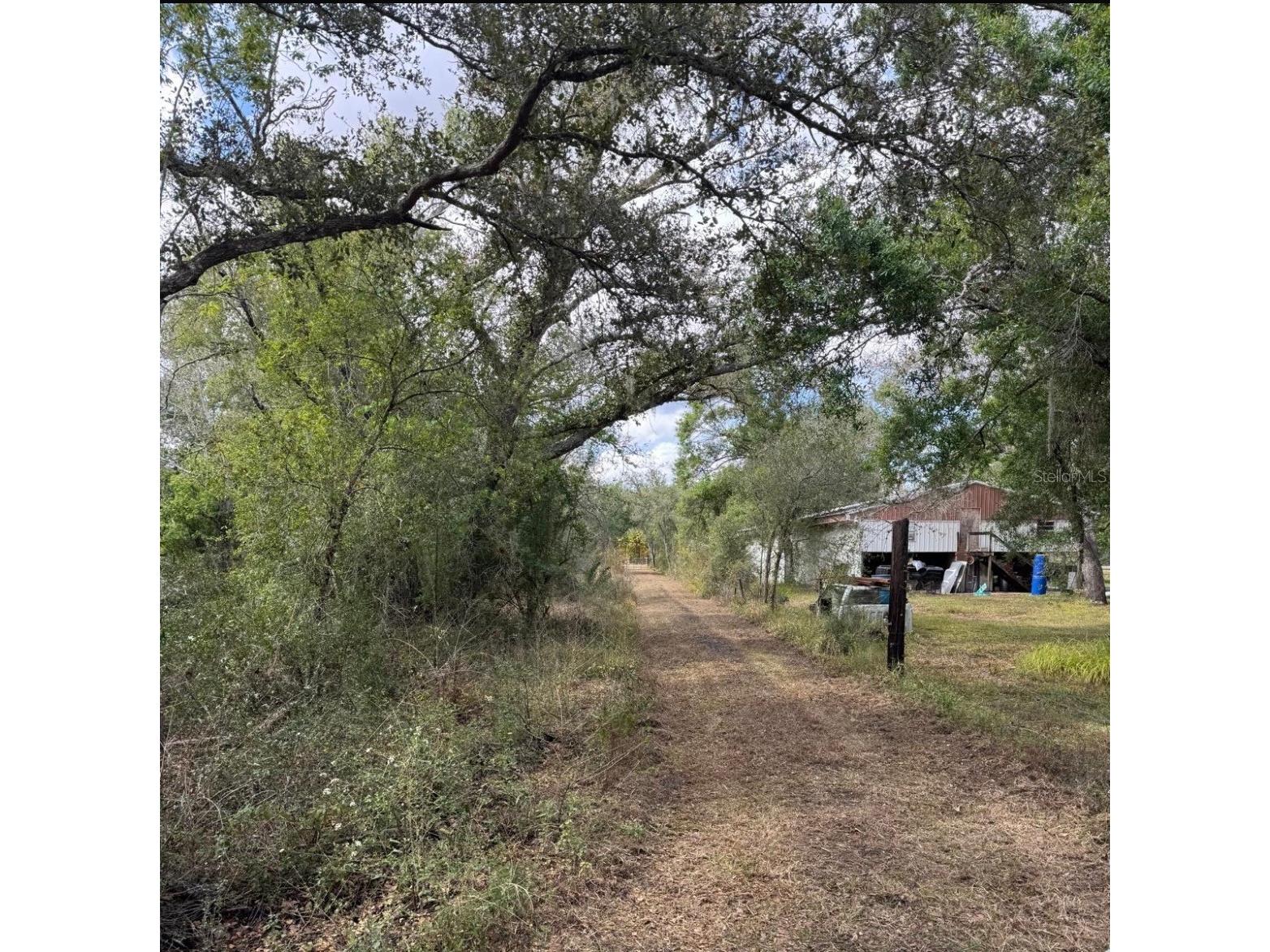 36564 Singletary Road Myakka City FL 34251 A4690082 image18