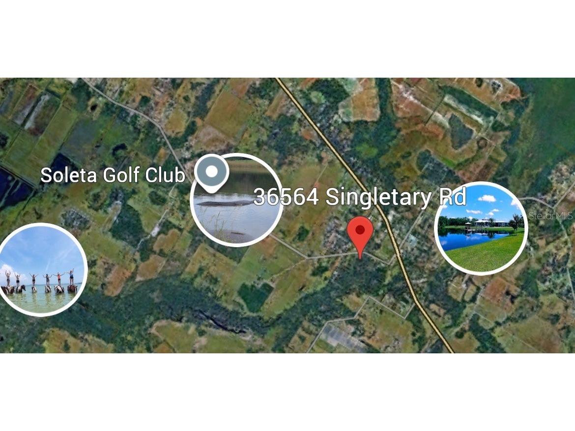 36564 Singletary Road Myakka City FL 34251 A4690082 image2