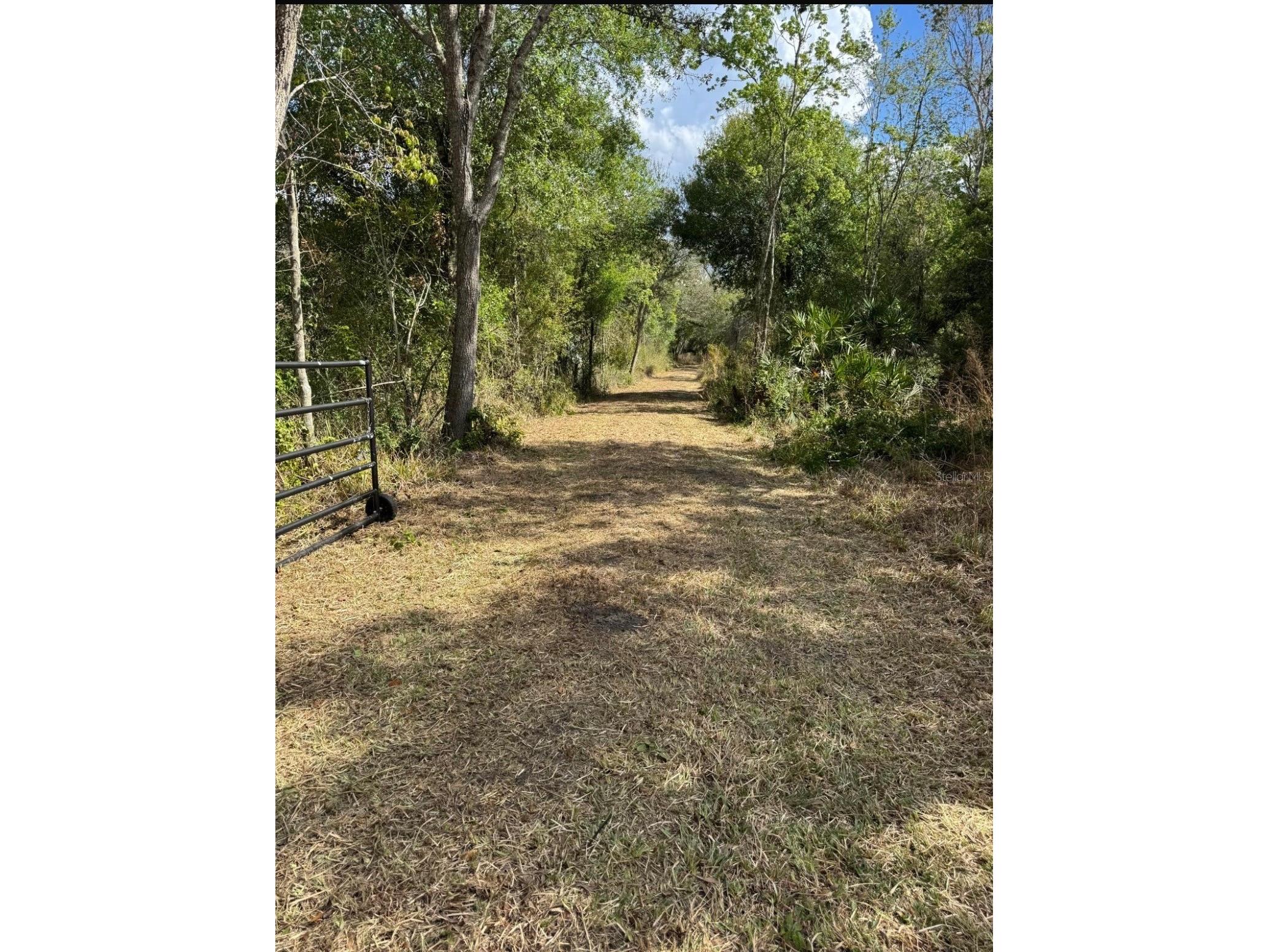 36564 Singletary Road Myakka City FL 34251 A4690082 image20