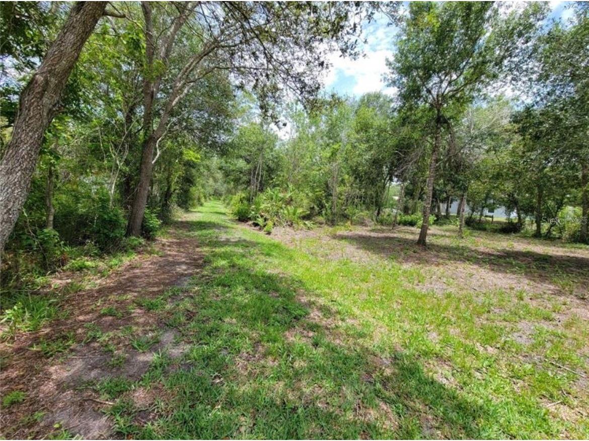 36564 Singletary Road Myakka City FL 34251 A4690082 image7