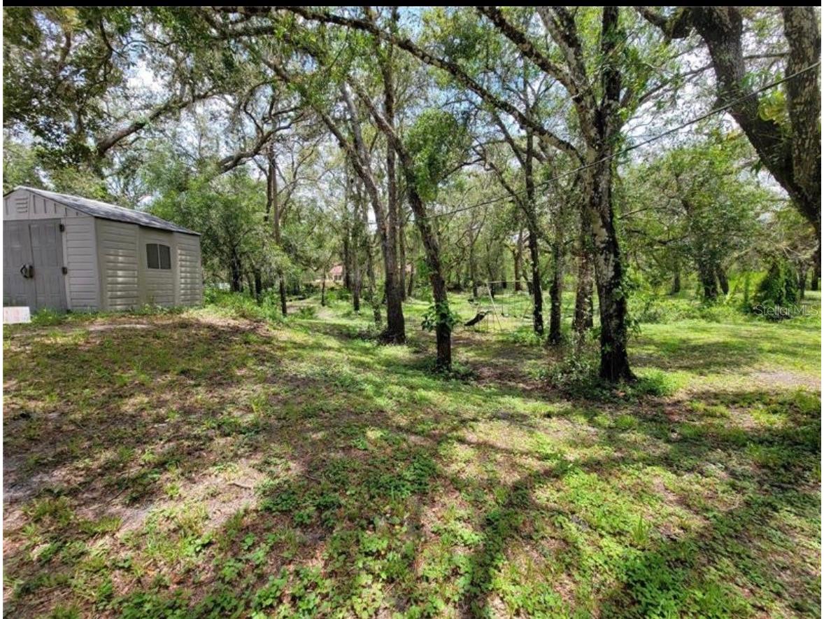 36564 Singletary Road Myakka City FL 34251 A4690082 image8