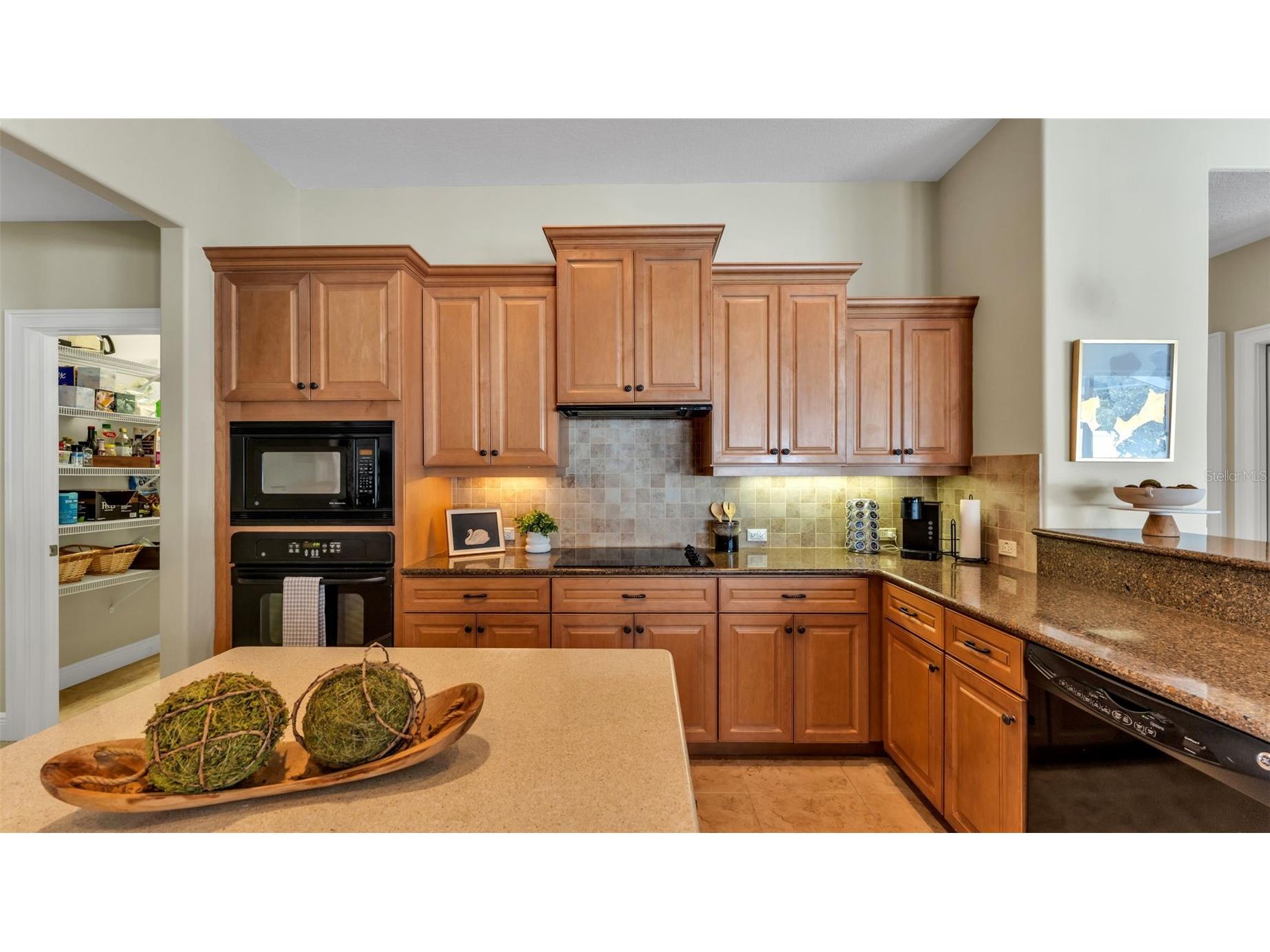 3657 Frentress Drive Lakeland FL 33812 L4959056 image16