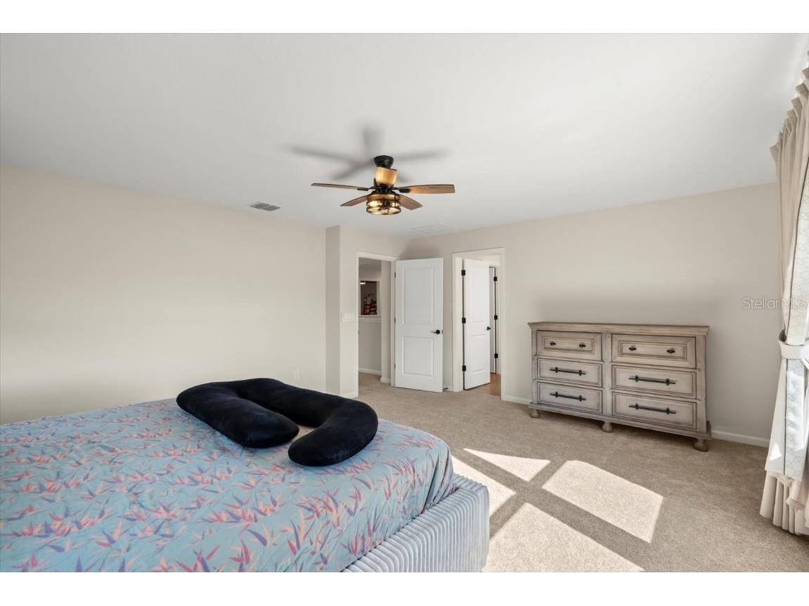 3657 Sublett Loop Tavares FL 32778 O6361605 image13