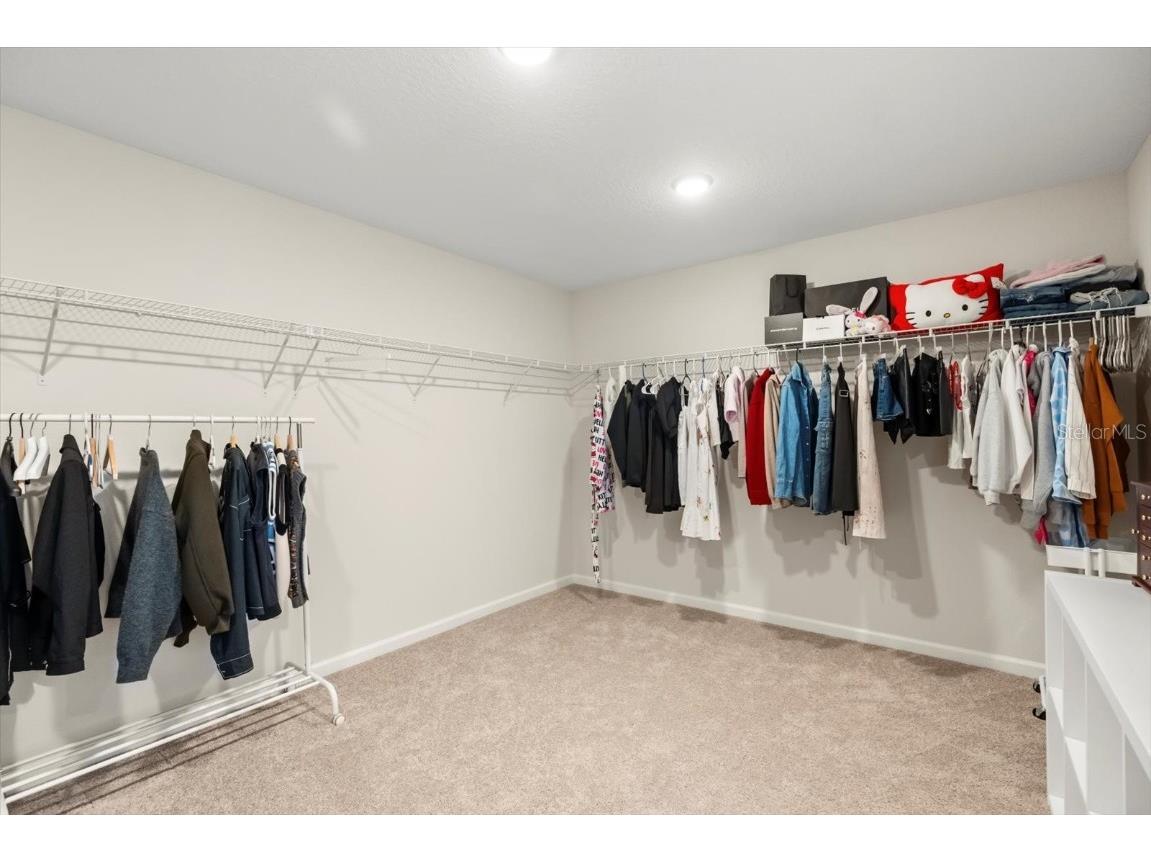 3657 Sublett Loop Tavares FL 32778 O6361605 image17