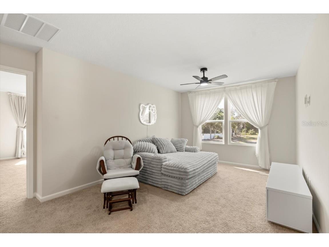 3657 Sublett Loop Tavares FL 32778 O6361605 image19