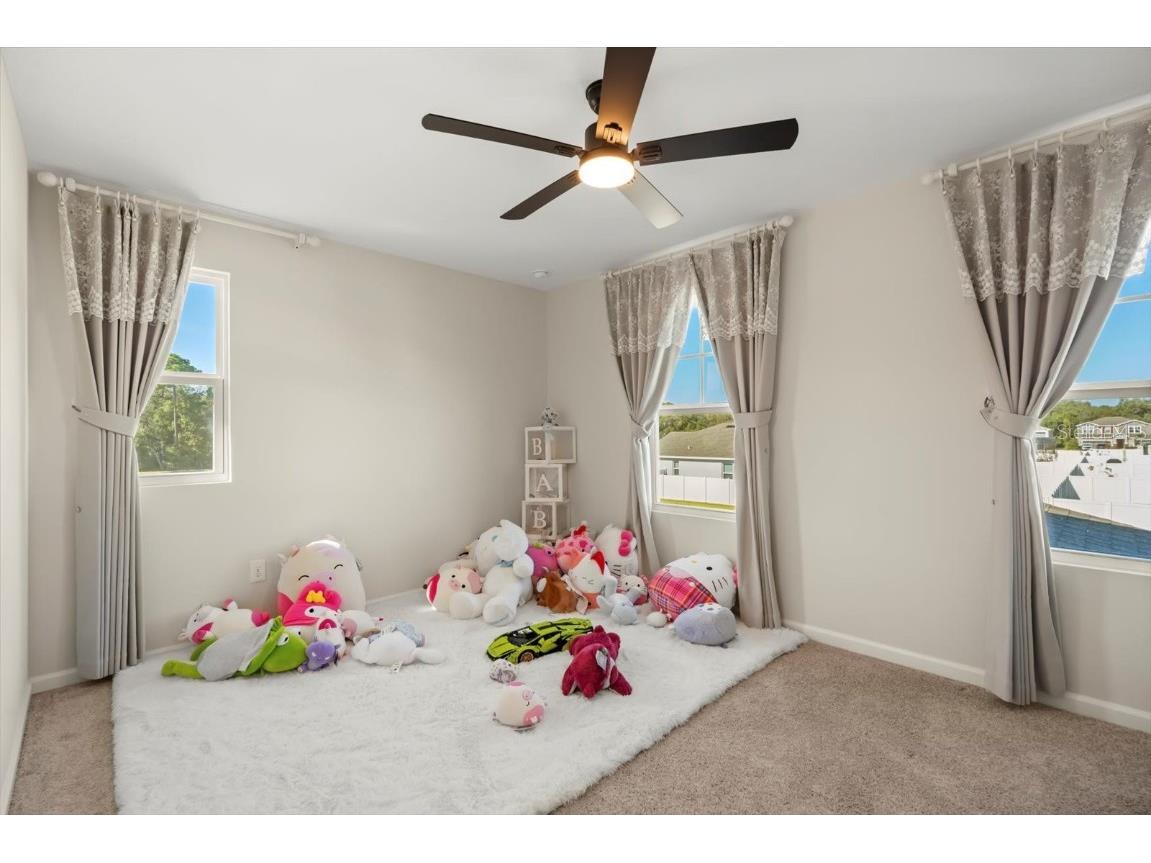 3657 Sublett Loop Tavares FL 32778 O6361605 image21