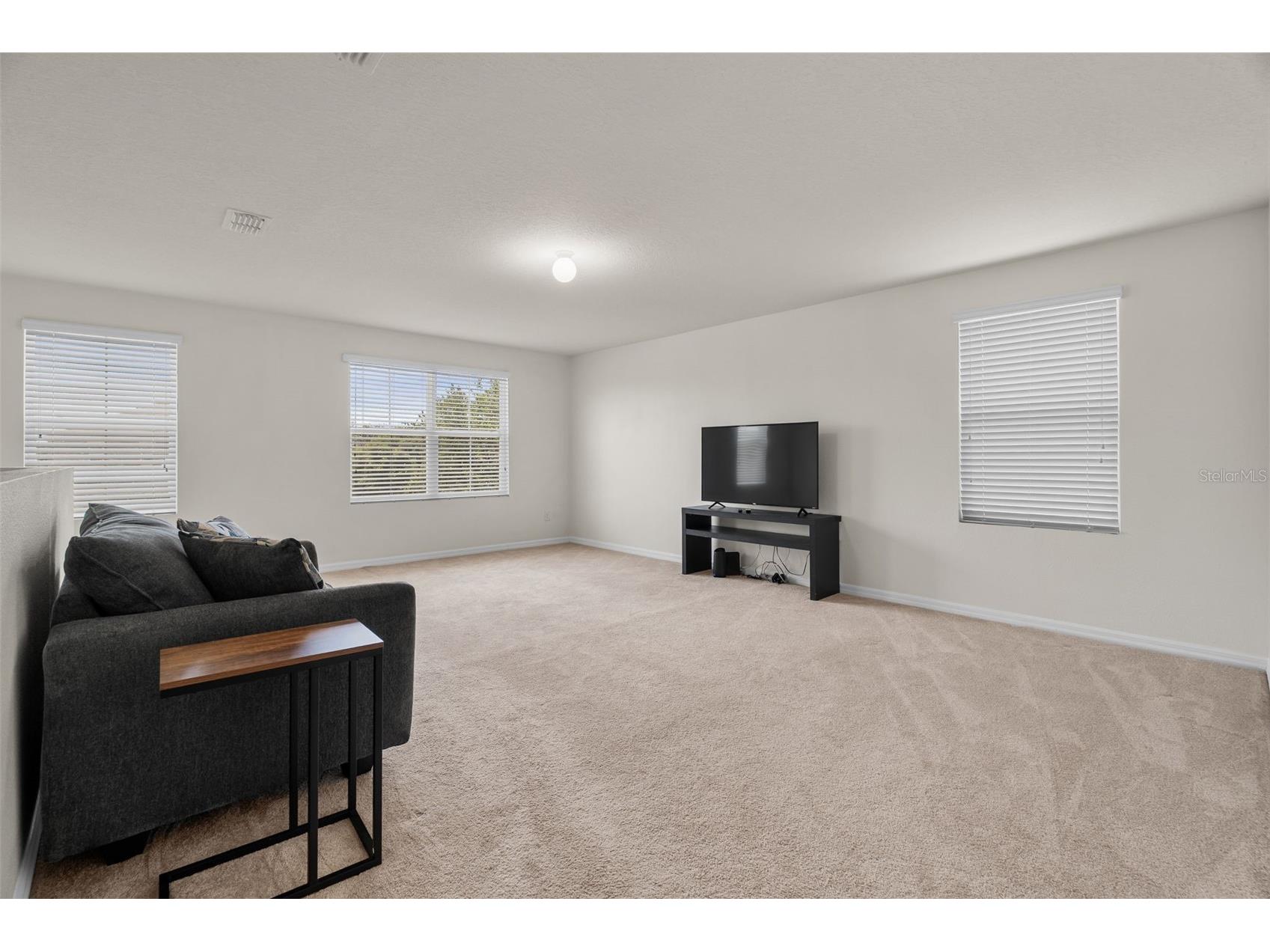3658 Maidencain Street Clermont FL 34714 O6409119 image25