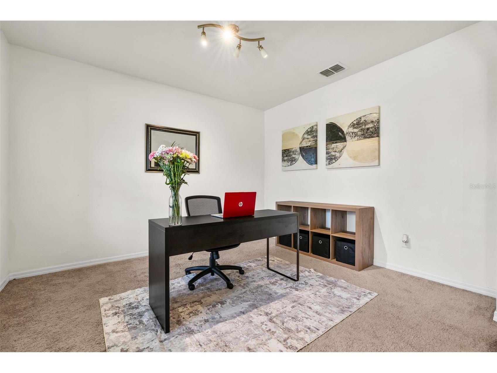 3658 Maidencain Street Clermont FL 34714 O6409119 image9