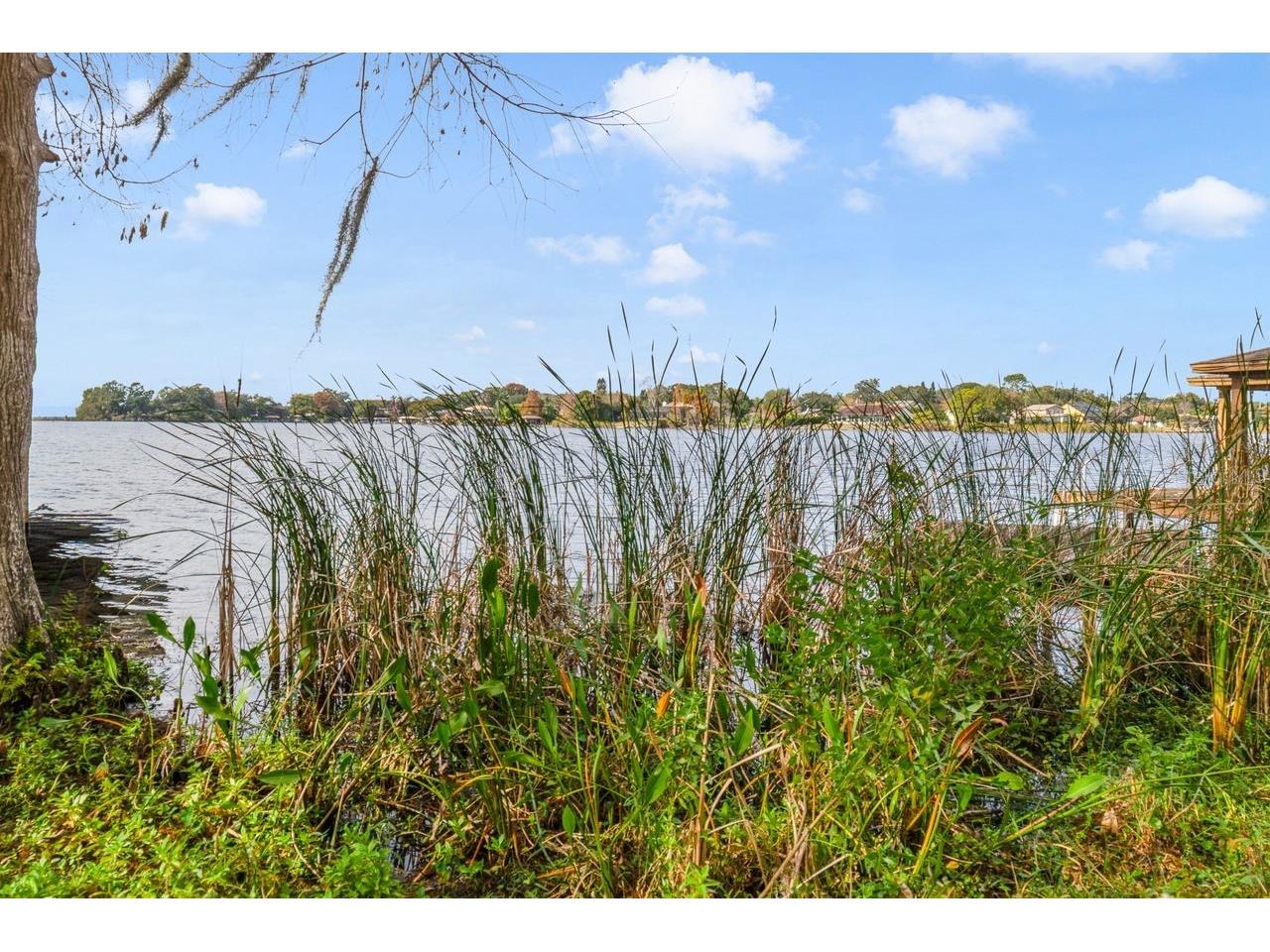 3658 N Econlockhatchee Trail Orlando FL 32817 - LAKE IRMA O6375830 image8