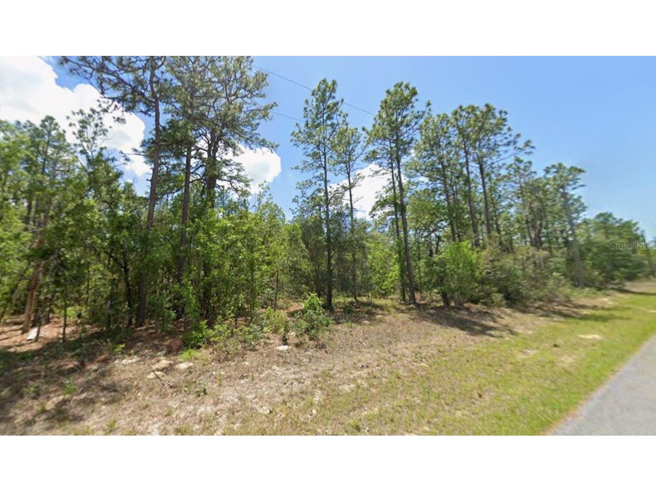 3658 W Galleon Street Dunnellon FL 34433 TB8466539 image1