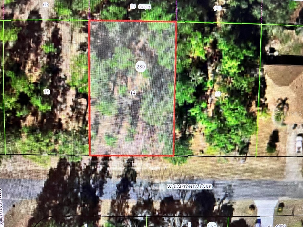 3659 W Galtonia Lane Citrus Springs FL 34433 OM667009 image1