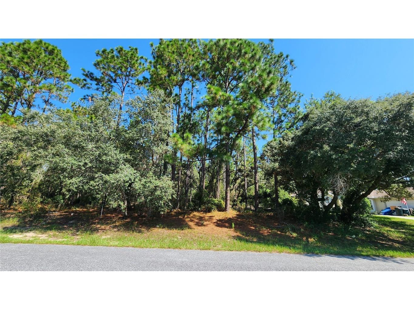 3659 W Lappula Lane Citrus Springs FL 34433 OM708488 image1