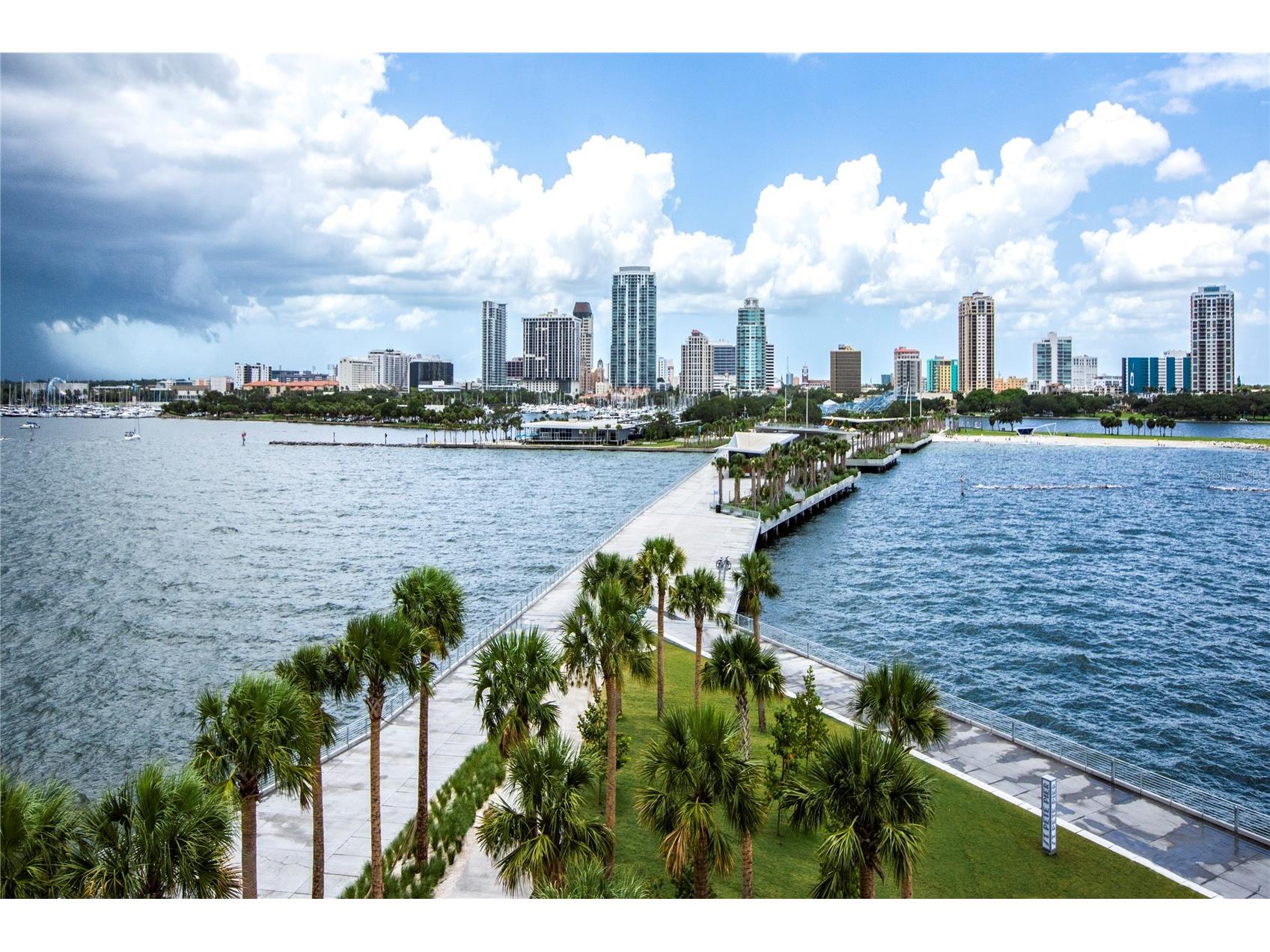 366 47th Avenue N #3 Saint Petersburg FL 33703 TB8508676 image29
