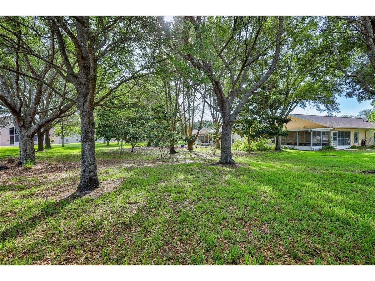 366 Barrington Court Spring Hill FL 34609 W7885835 image4