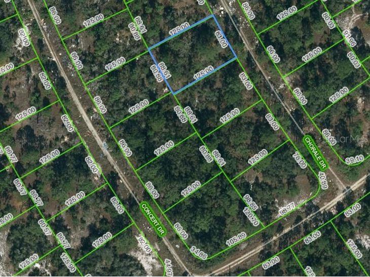 366 Chorale Drive Lake Placid FL 33852 OM620991 image1