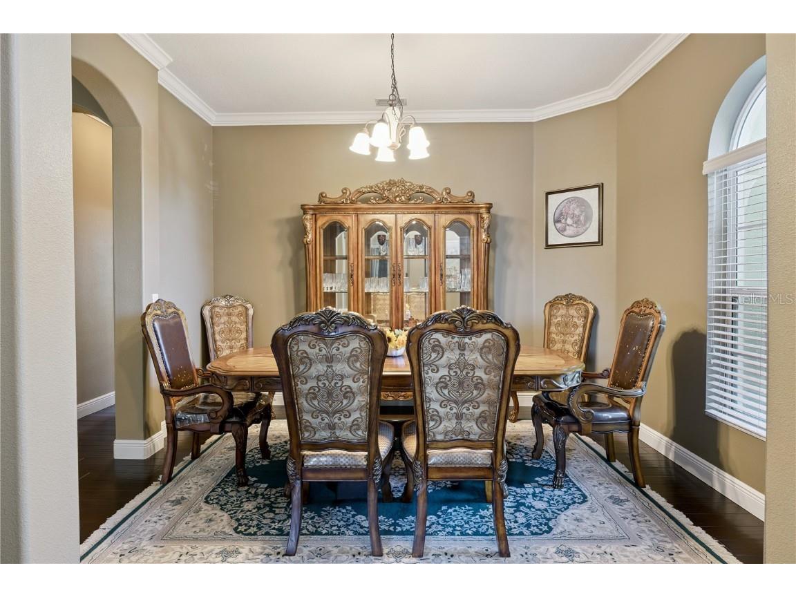 366 Da Gama Drive Clermont FL 34715 O6364007 image10