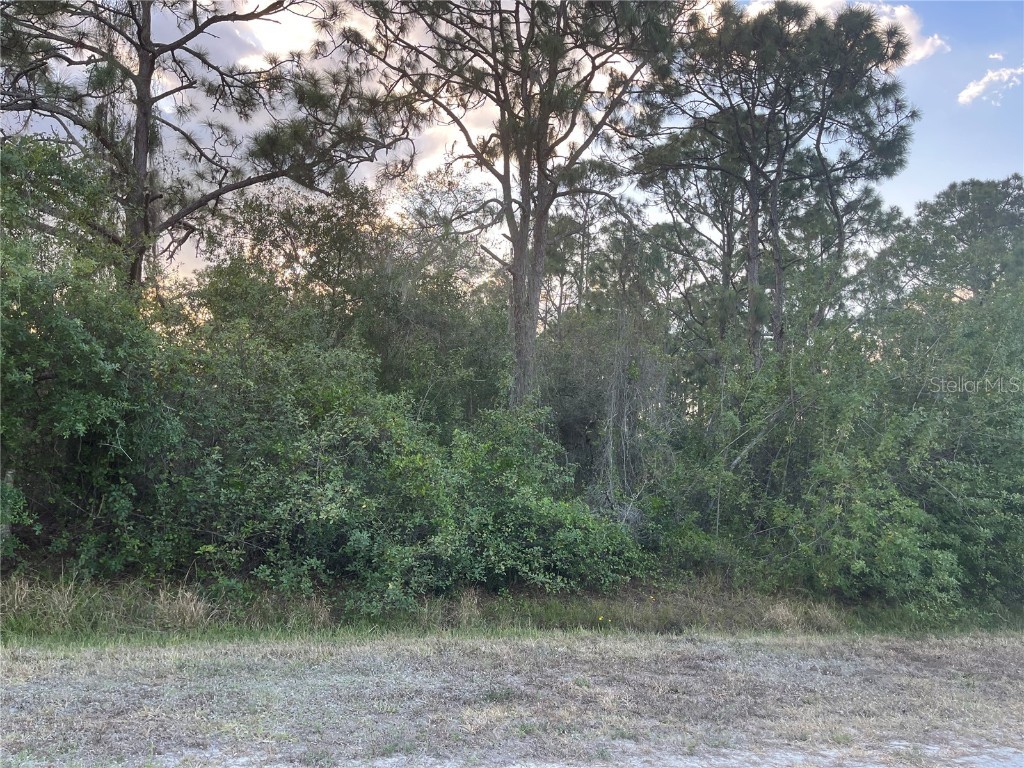 366 Pine Cone Avenue Clewiston FL 33440 OK222563 image1