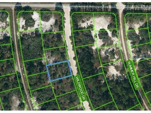 366 Wildwood Drive Lake Placid FL 33852 OM621643 image1