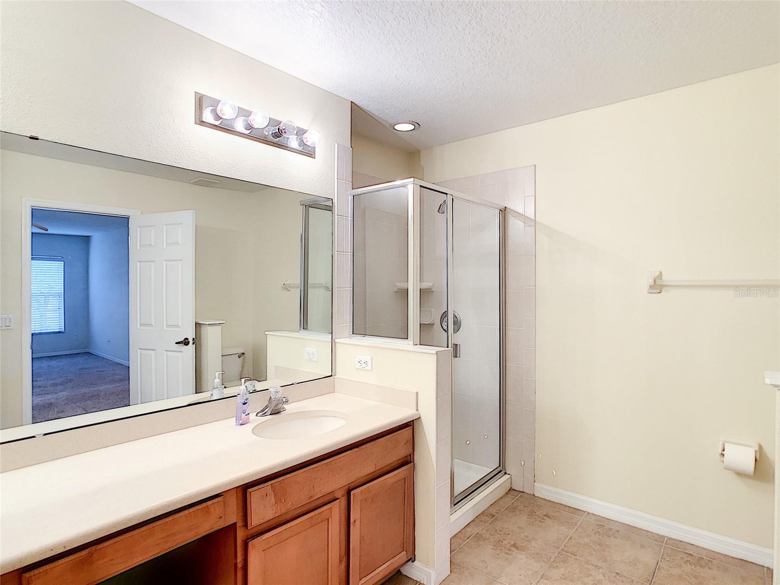 3660 Iditarod Lane Orlando FL 32839 S5151289 image13