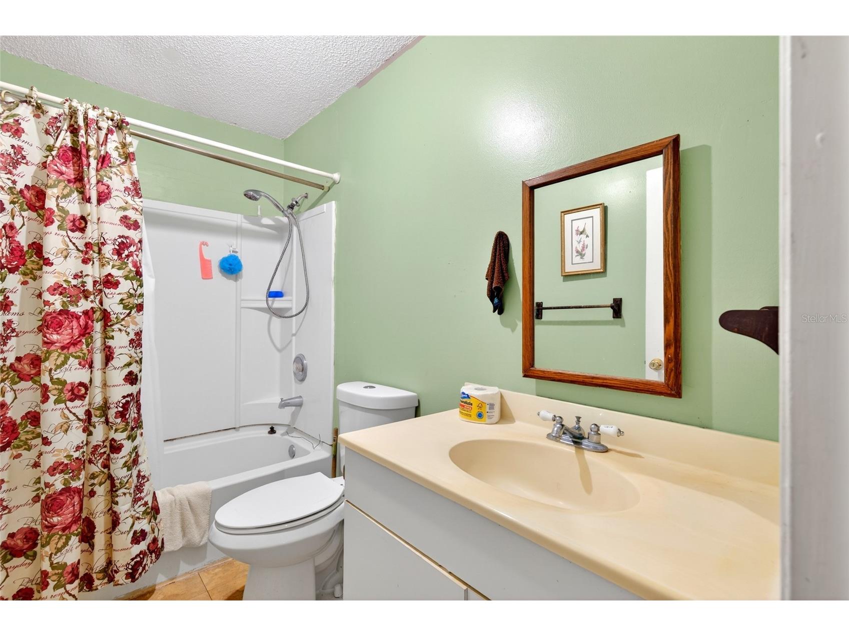 3660 SE 139th Lane Summerfield FL 34491 O6416628 image14