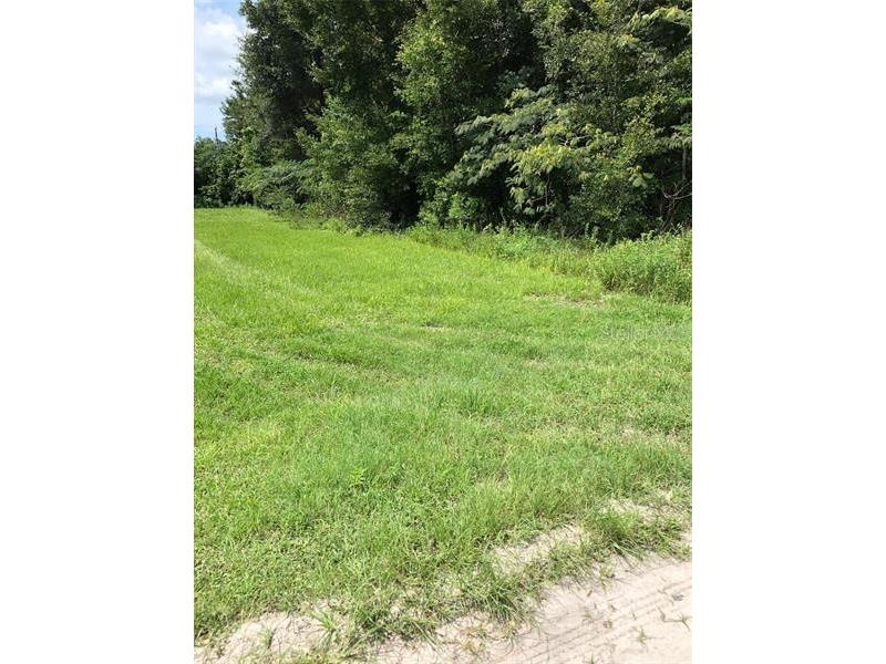 3660 SE 140th Lane Summerfield FL 34491 S5074267 image1