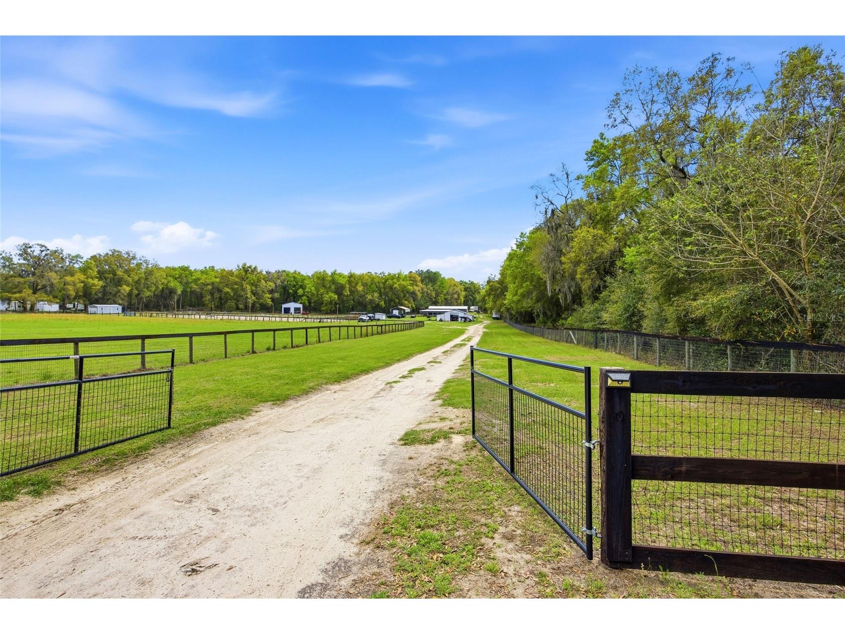 3660 W Hwy 329 Reddick FL 32686 OM716744 image2