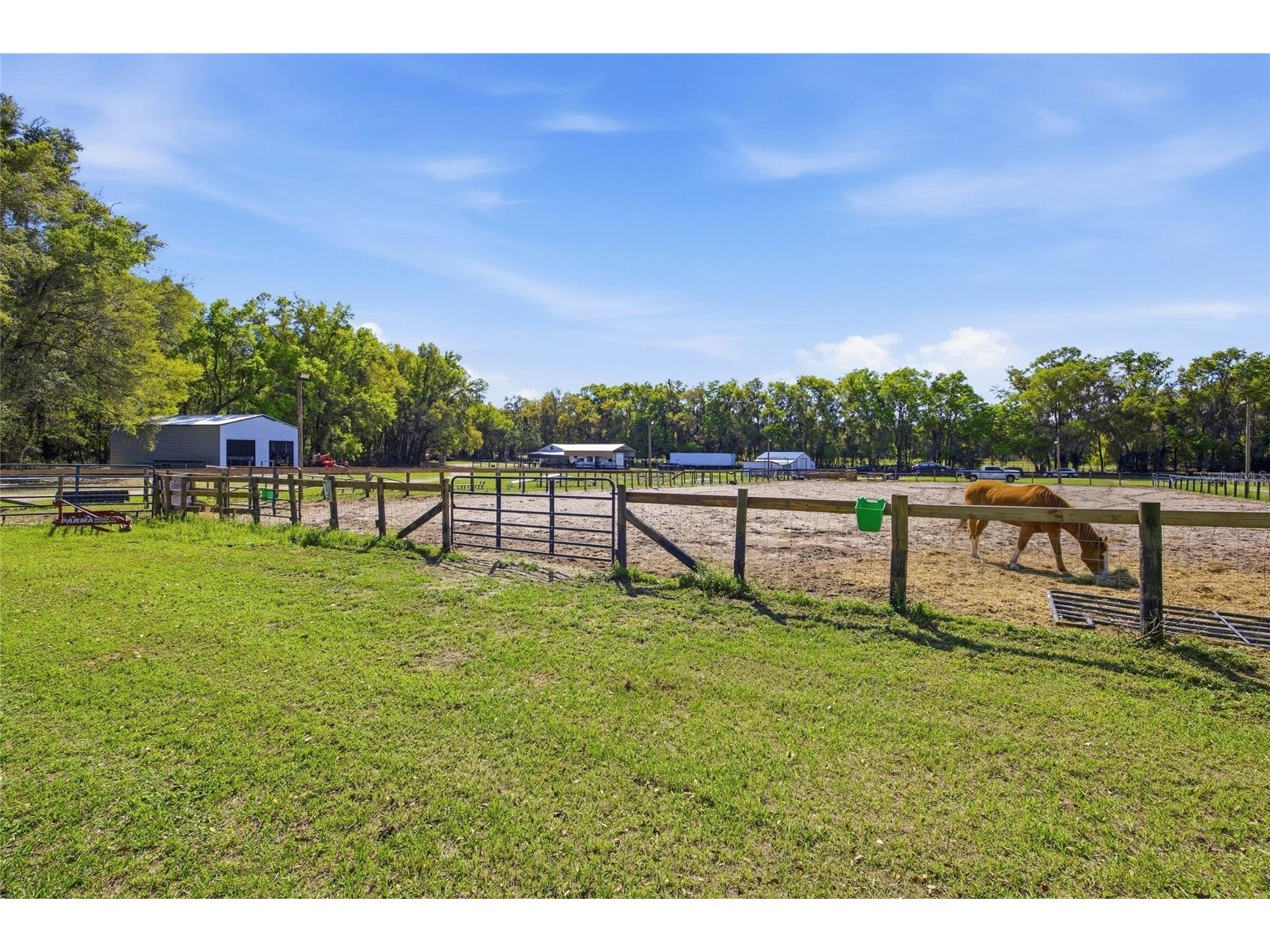 3660 W Hwy 329 Reddick FL 32686 OM716744 image30