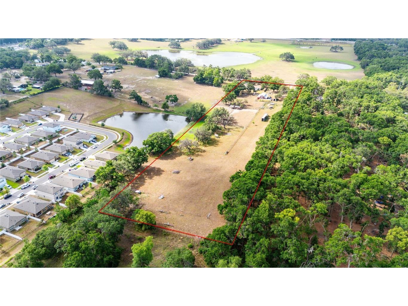 36601 Roberts Rd Dade City FL 33525 TB8380549 image68