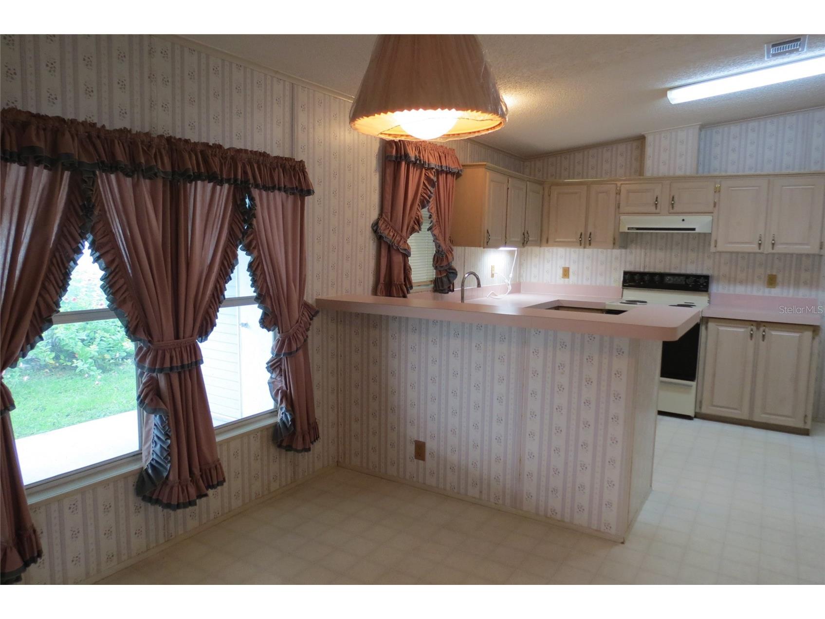 36603 Jodi Avenue Zephyrhills FL 33542 TB8485232 image11