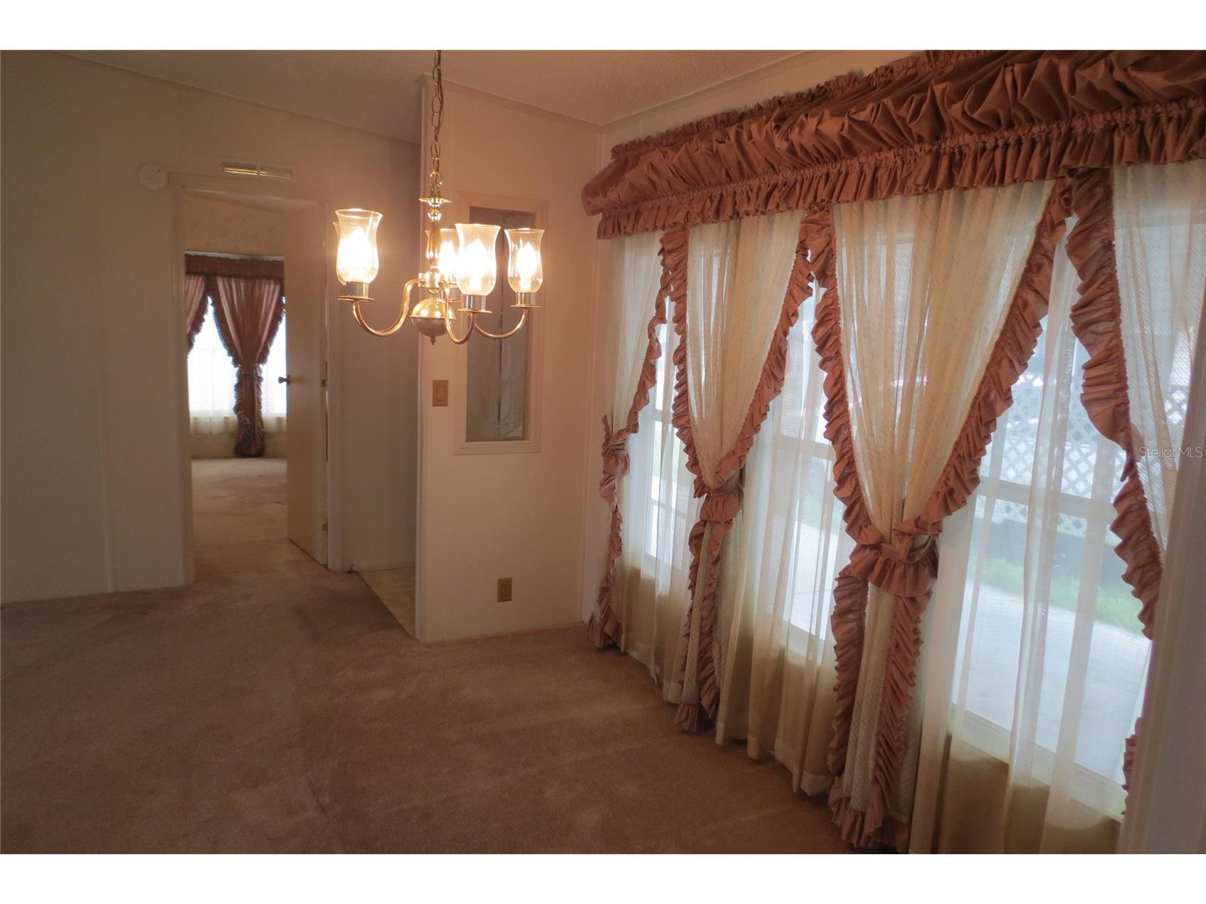 36603 Jodi Avenue Zephyrhills FL 33542 TB8485232 image22