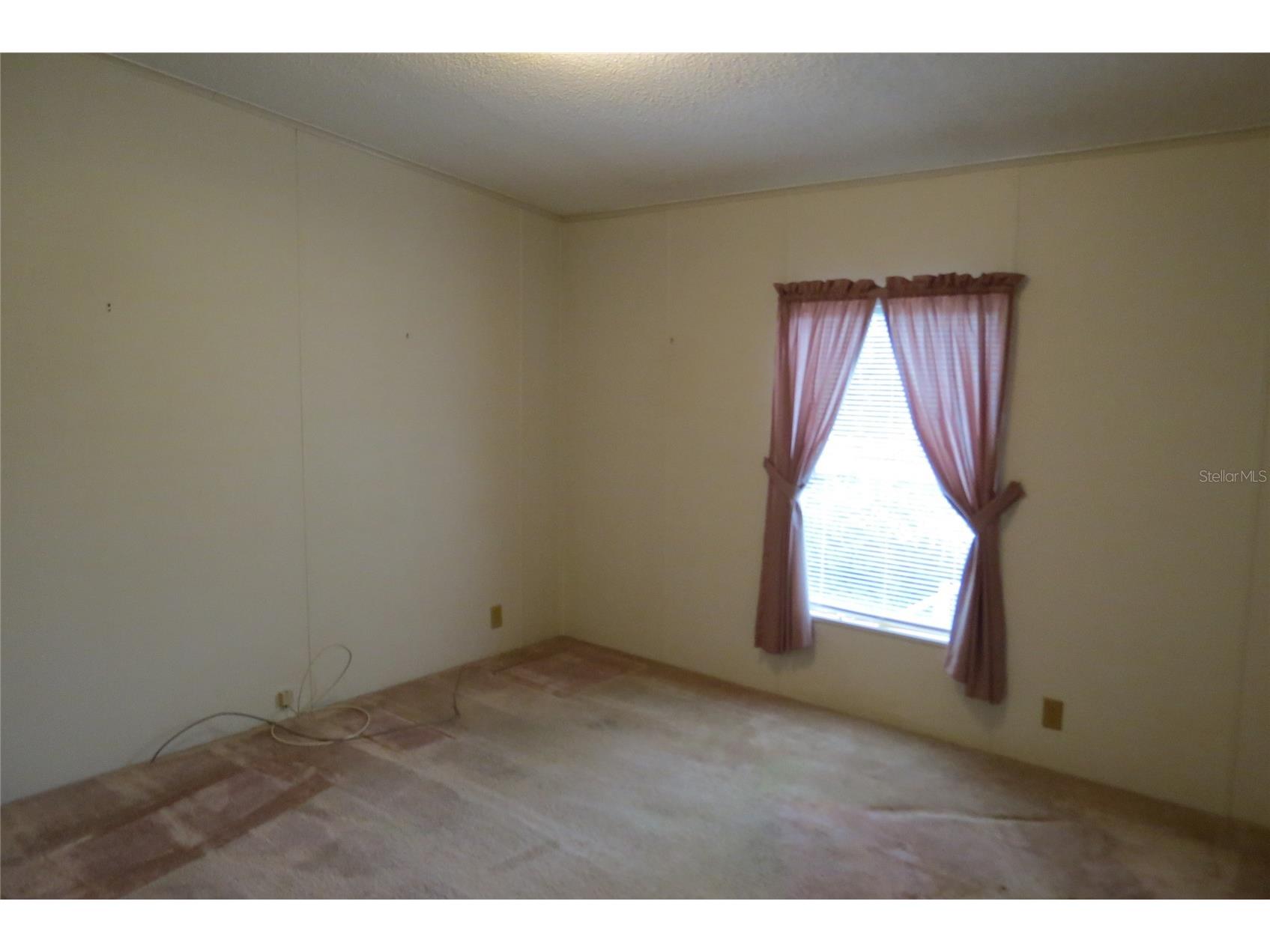 36603 Jodi Avenue Zephyrhills FL 33542 TB8485232 image24