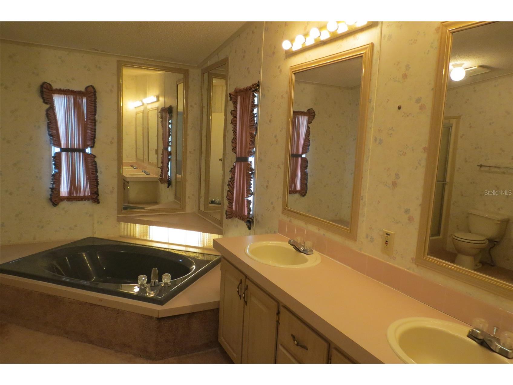 36603 Jodi Avenue Zephyrhills FL 33542 TB8485232 image26