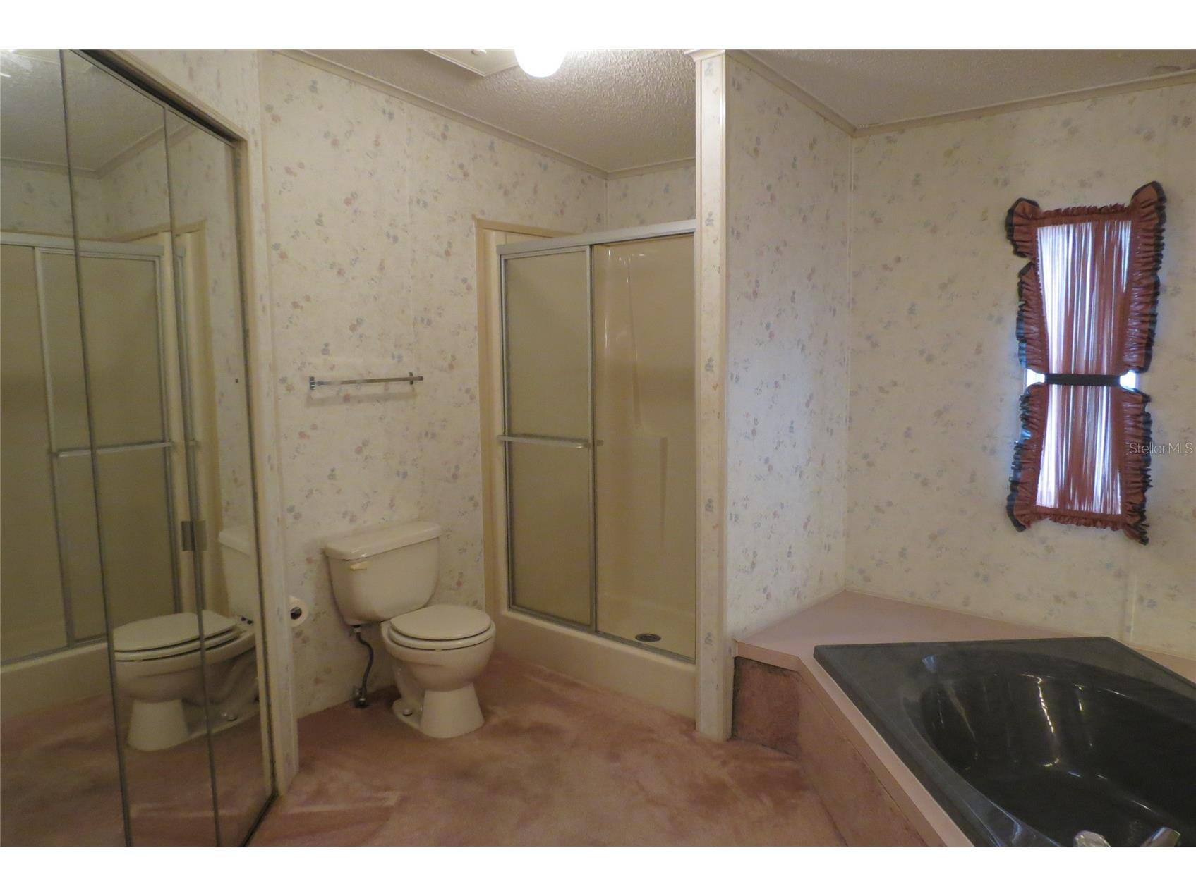 36603 Jodi Avenue Zephyrhills FL 33542 TB8485232 image27