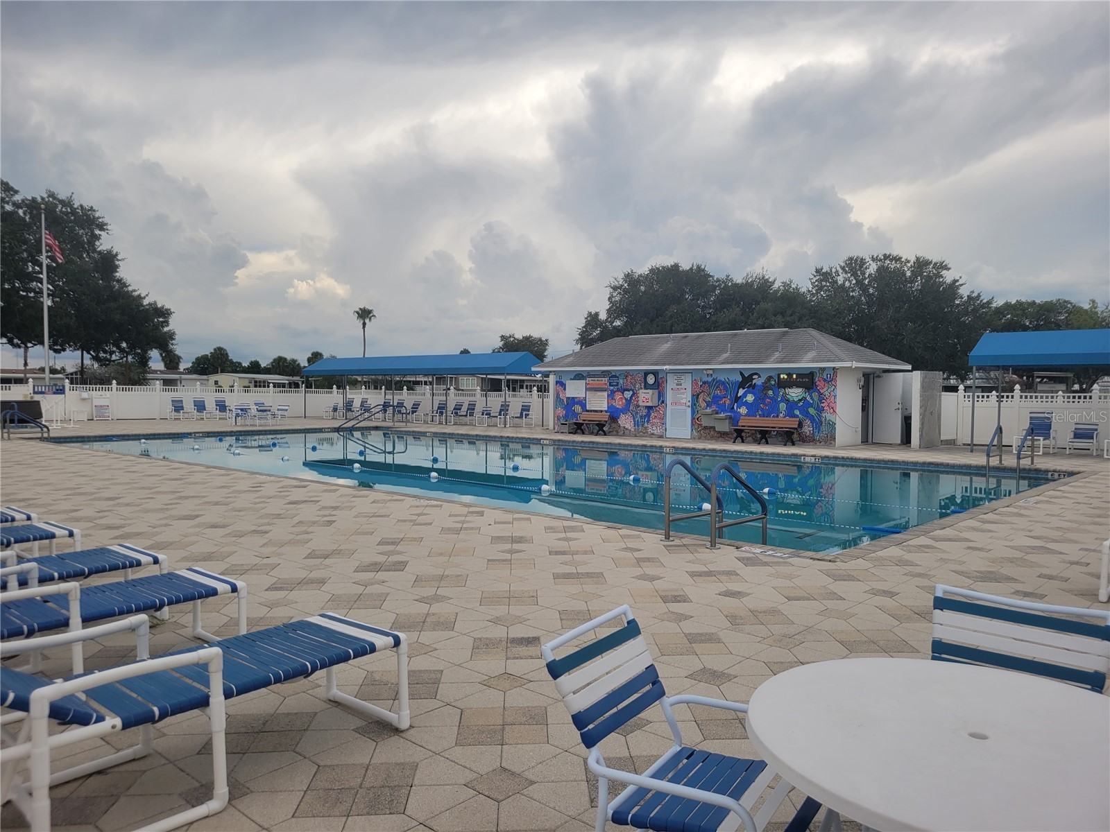 36603 Jodi Avenue Zephyrhills FL 33542 TB8485232 image45