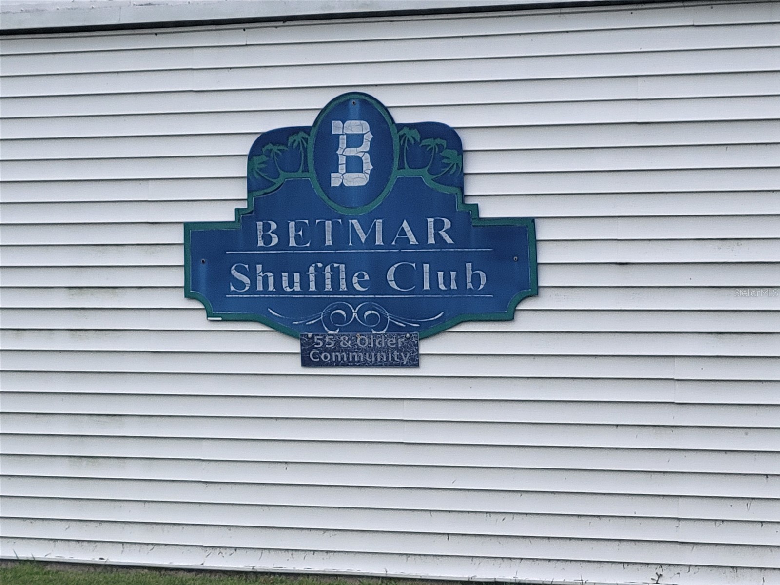 36603 Jodi Avenue Zephyrhills FL 33542 TB8485232 image46