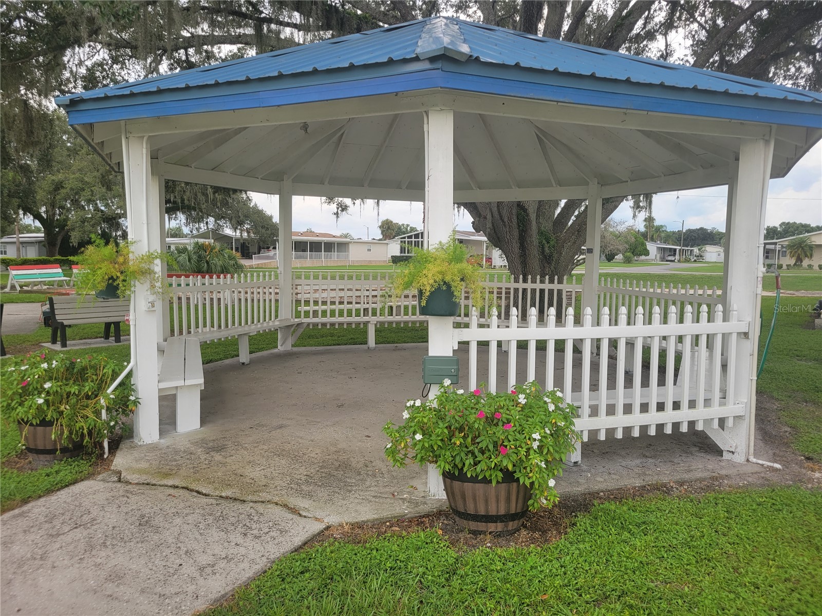 36603 Jodi Avenue Zephyrhills FL 33542 TB8485232 image57