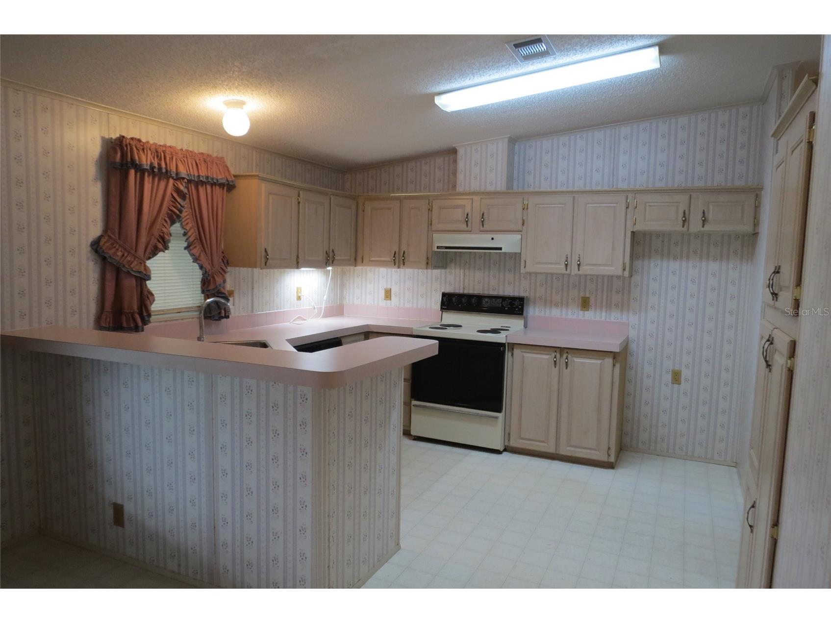 36603 Jodi Avenue Zephyrhills FL 33542 TB8485232 image7