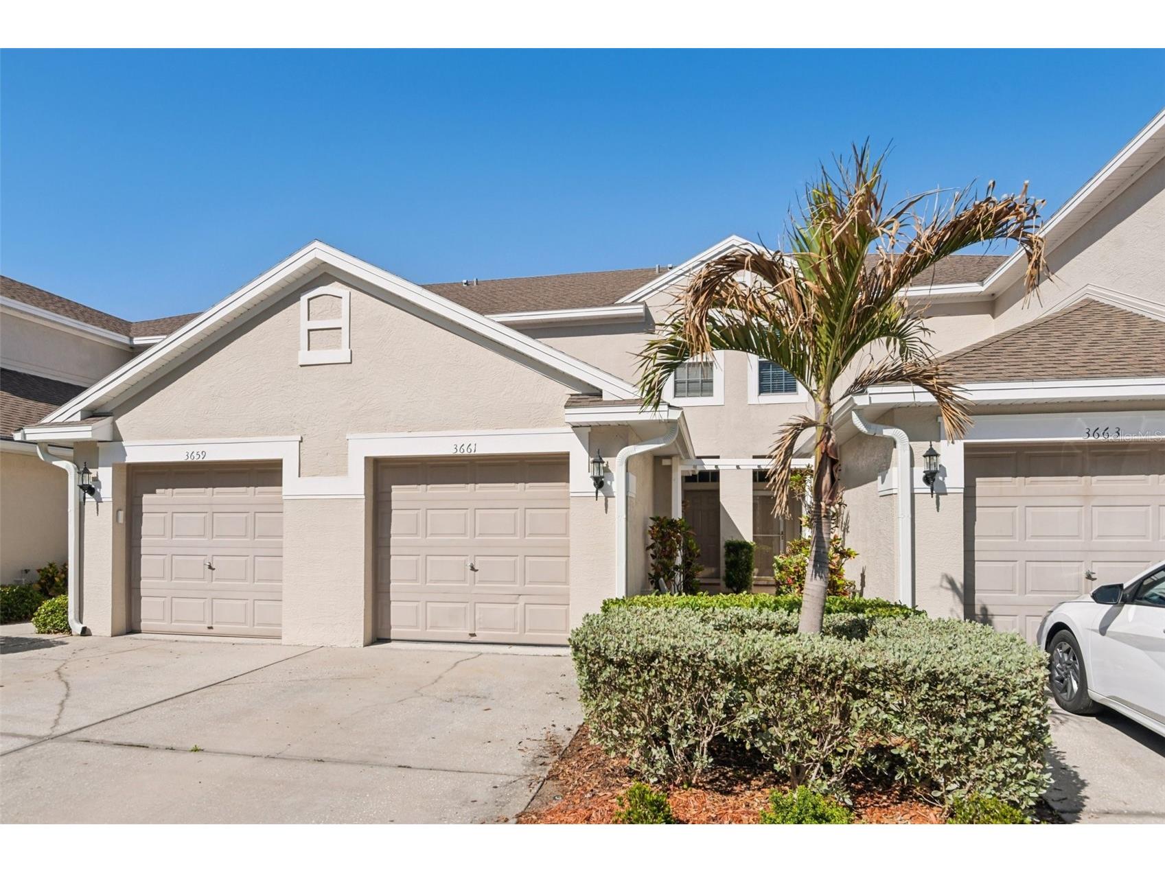 3661 Country Pointe Place Palm Harbor FL 34684 TB8490978 image1