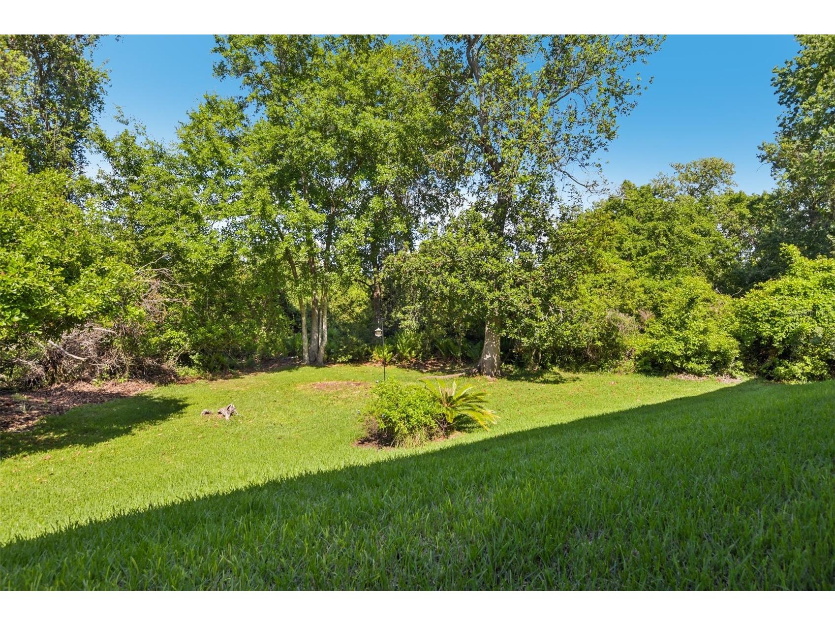 3661 Country Pointe Place Palm Harbor FL 34684 TB8490978 image23