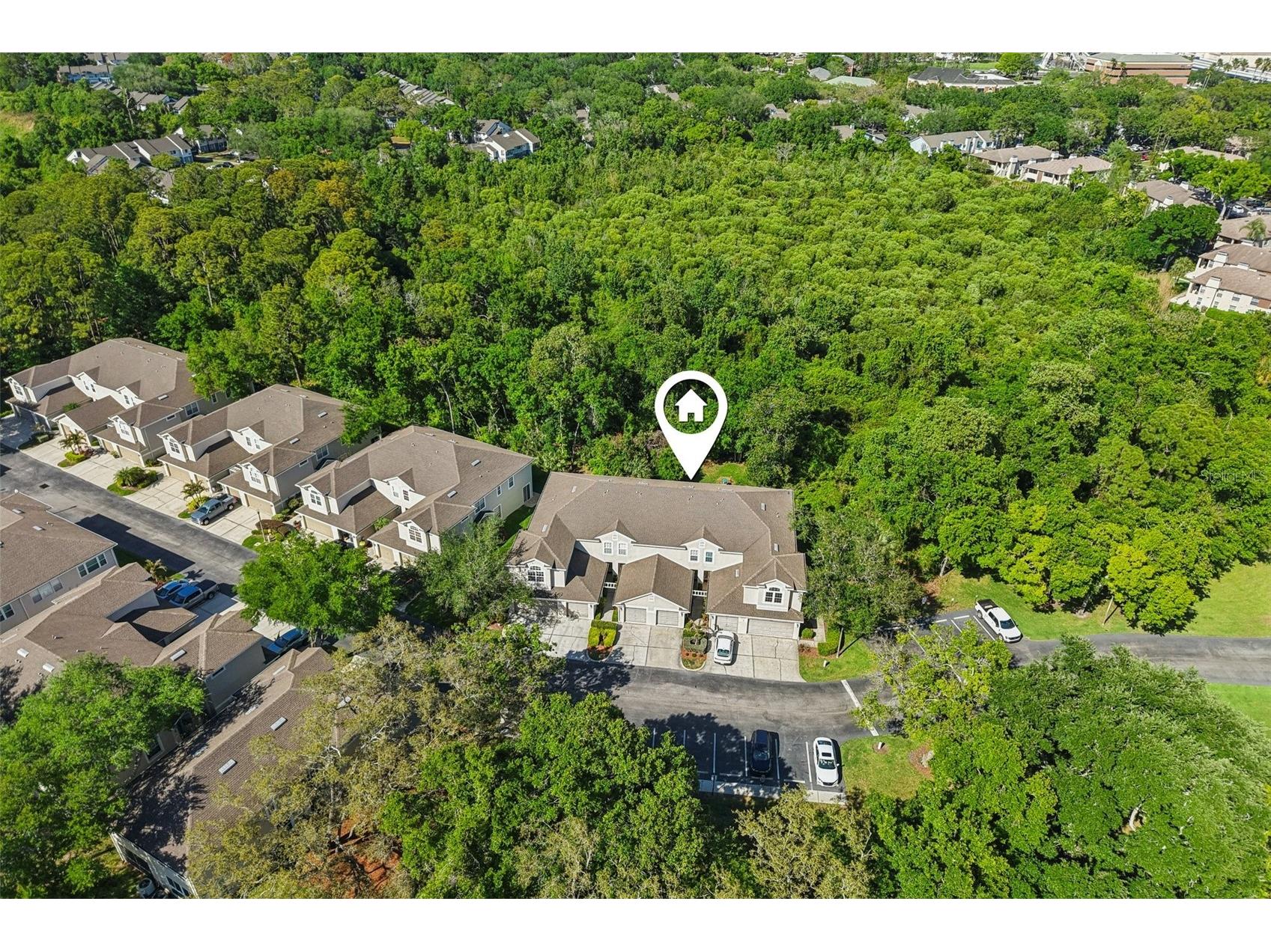 3661 Country Pointe Place Palm Harbor FL 34684 TB8490978 image25