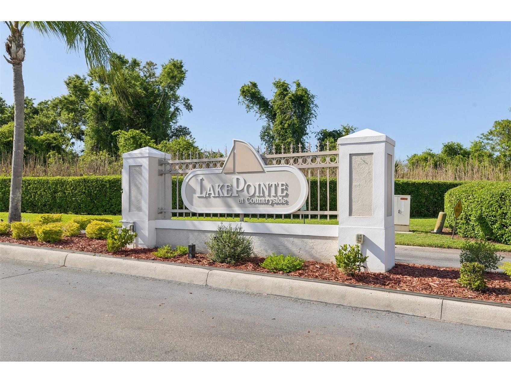 3661 Country Pointe Place Palm Harbor FL 34684 TB8490978 image26