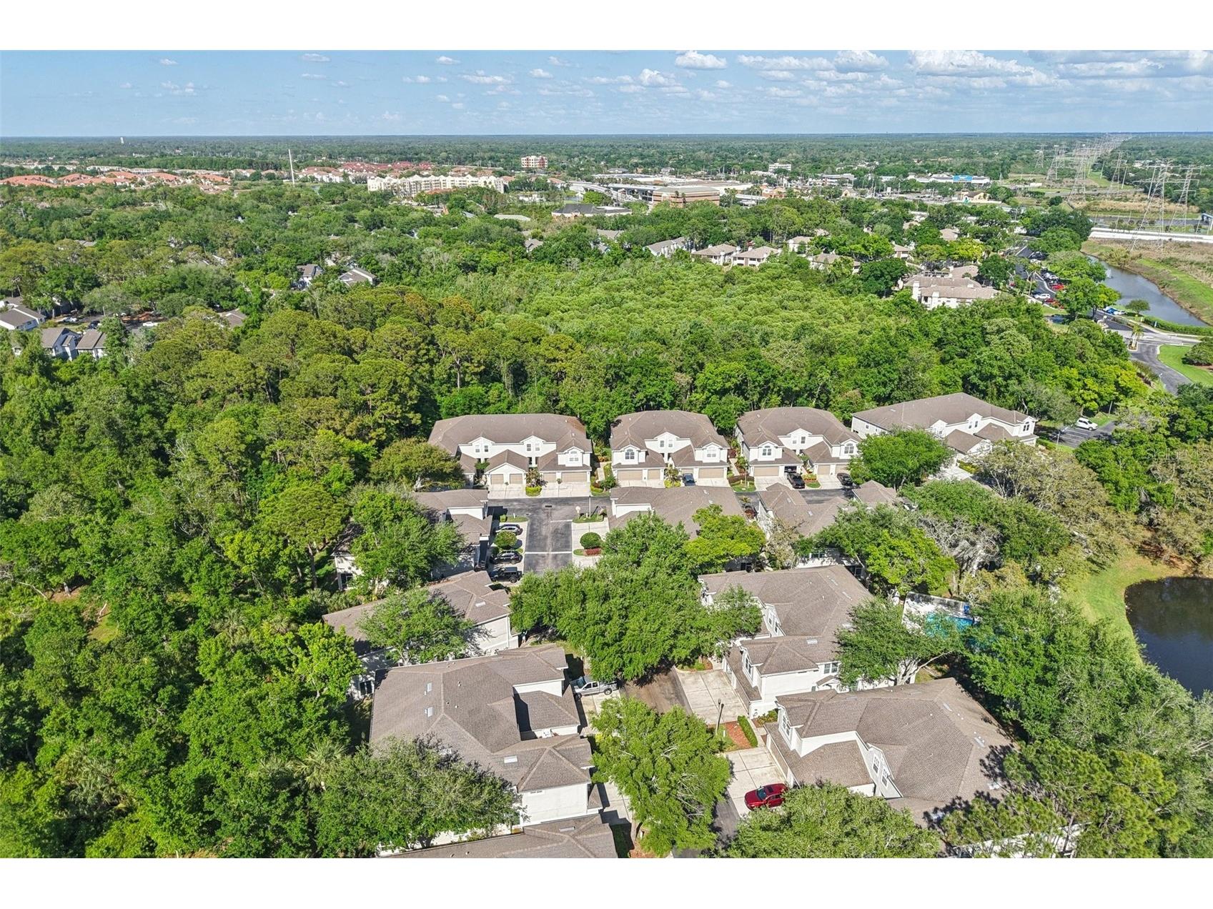 3661 Country Pointe Place Palm Harbor FL 34684 TB8490978 image28