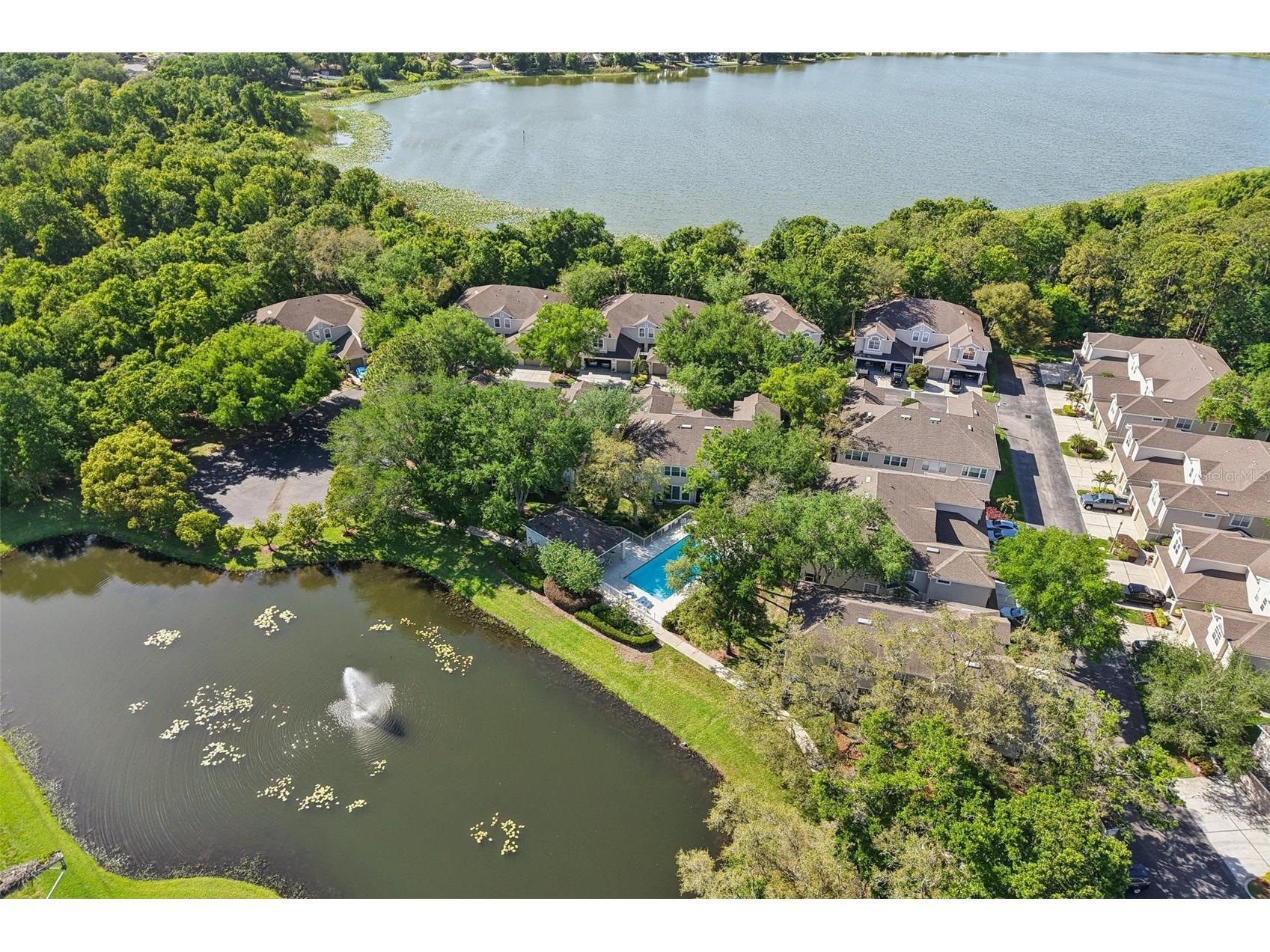 3661 Country Pointe Place Palm Harbor FL 34684 TB8490978 image29