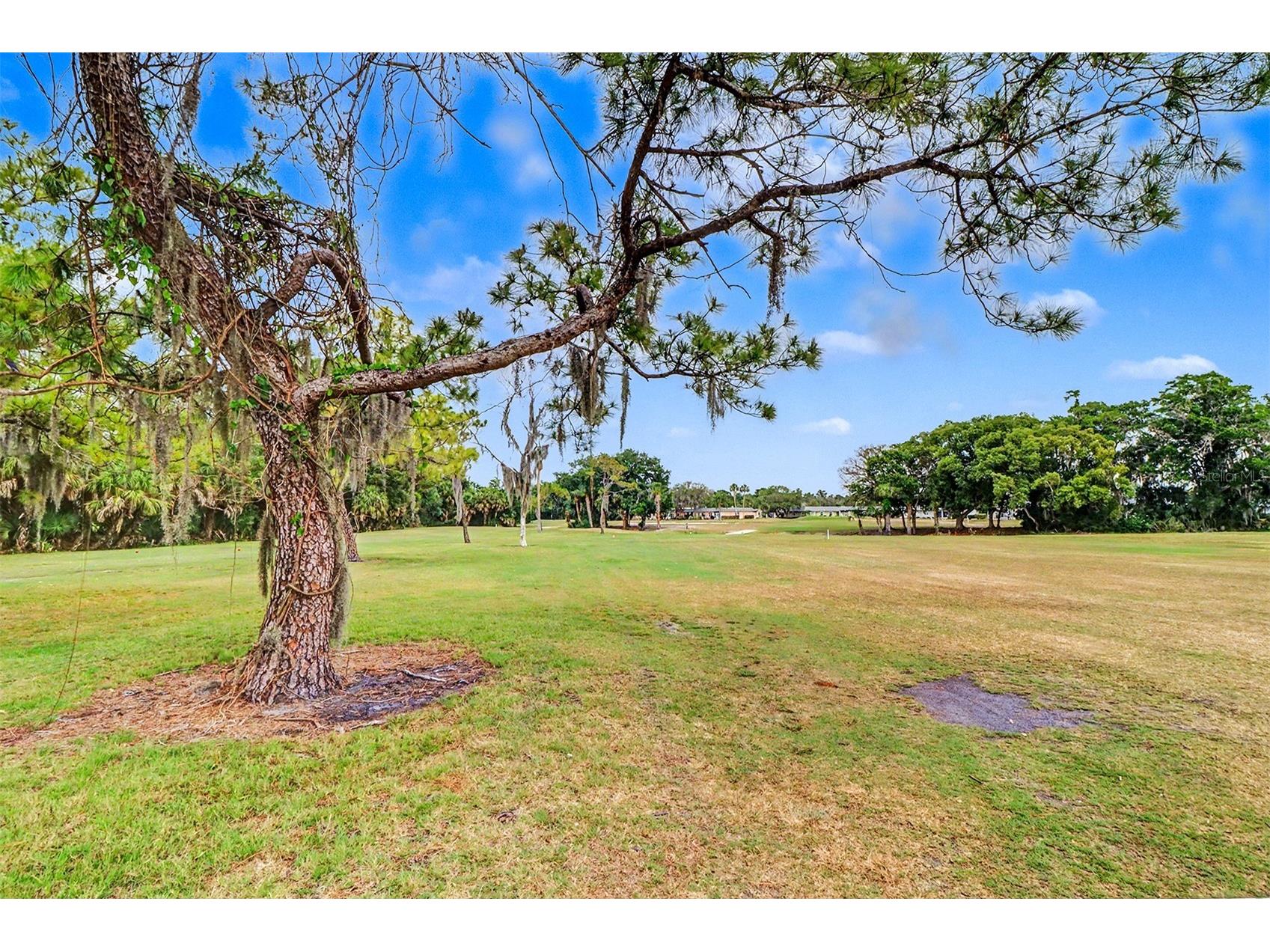 3661 Trophy Boulevard #3661 New Port Richey FL 34655 TB8507129 image21