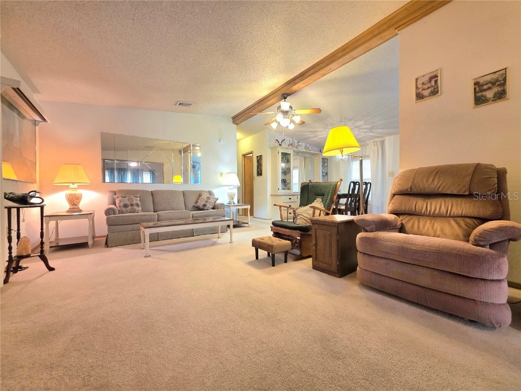 36615 Dina Drive Zephyrhills FL 33542 TB8452429 image19