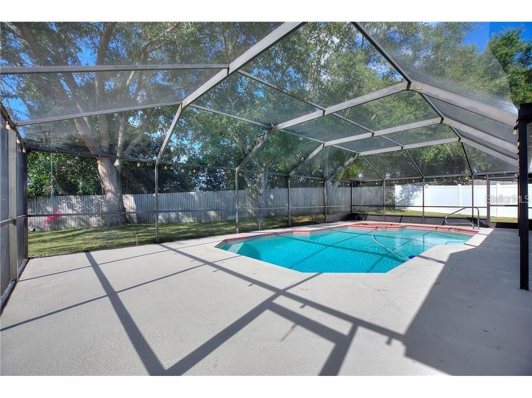 3662 Chatham Drive Palm Harbor FL 34684 TB8448590 image10