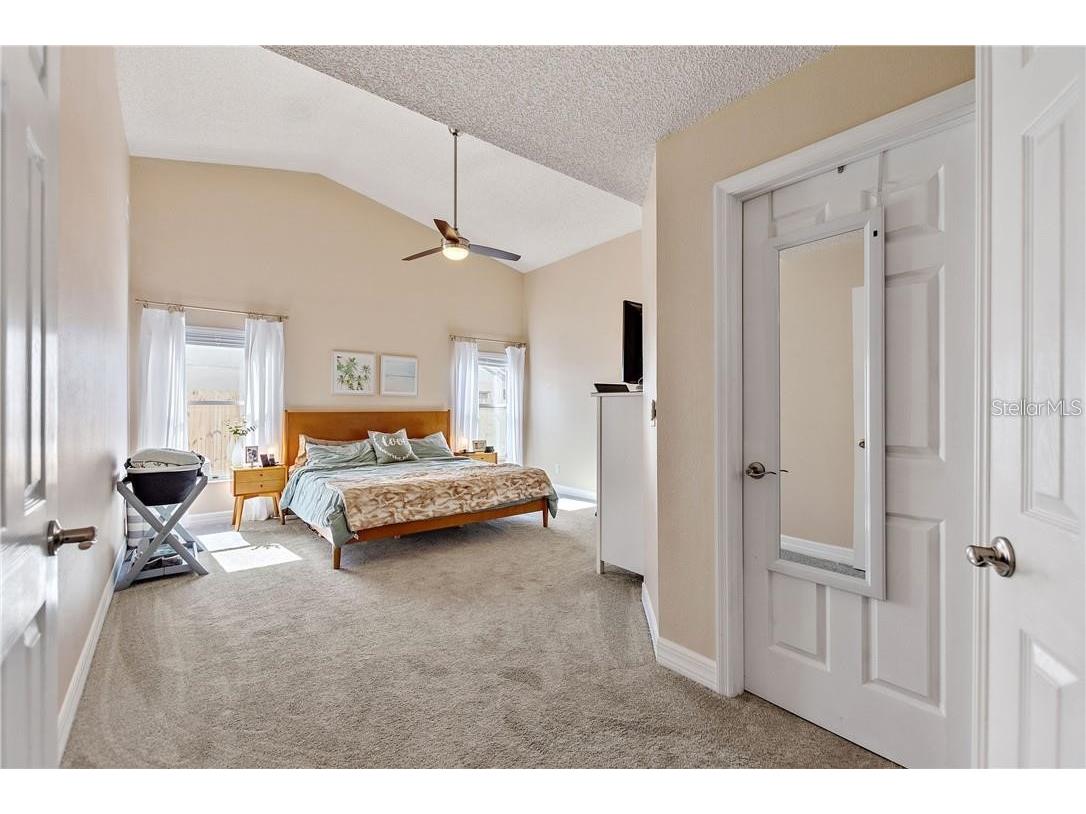 3662 Chatham Drive Palm Harbor FL 34684 TB8448590 image14