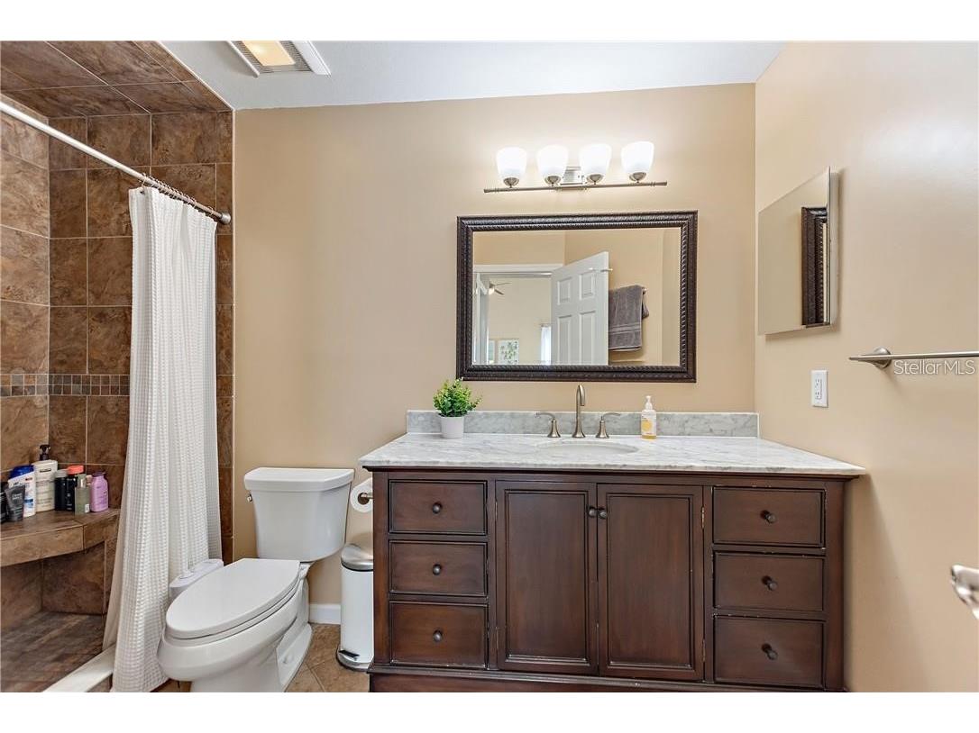 3662 Chatham Drive Palm Harbor FL 34684 TB8448590 image15