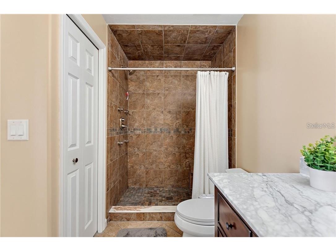 3662 Chatham Drive Palm Harbor FL 34684 TB8448590 image16