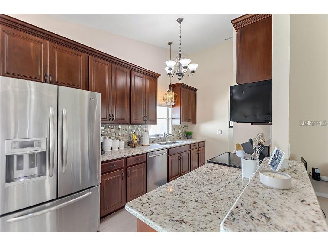 3662 Chatham Drive Palm Harbor FL 34684 TB8448590 image3